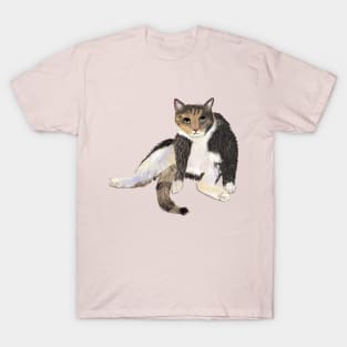 Grumpy Tabby Cat T-Shirt